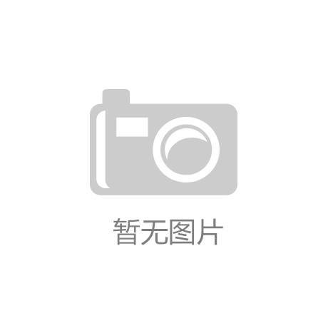 分支机构